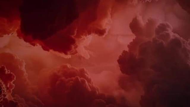 荆刺之花，血色绽放。