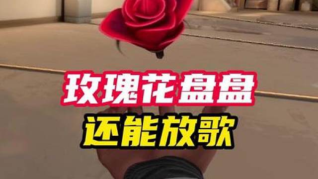 玫瑰花盘盘，还能放歌