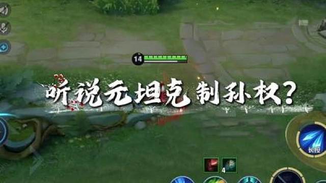 听说元坦克制孙权？我带个净化你不就炸了吗？