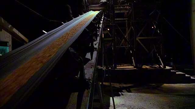 2扮稻草人躲追杀惨死，冤魂归来血洗仇人