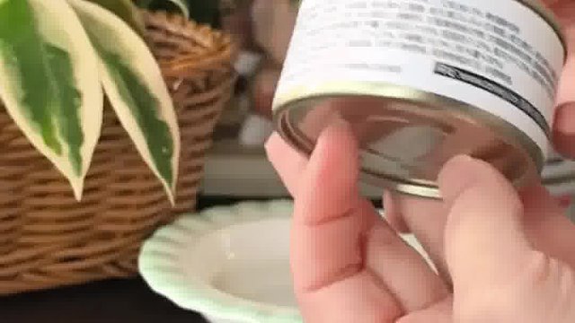 猫咪软便反复？试试希喂白小罐，肠胃友好型