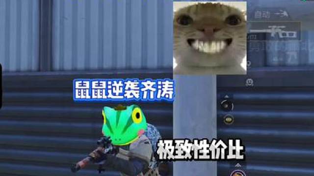 怒兆火山老鼠流11.0，鼠鼠逆袭齐涛！