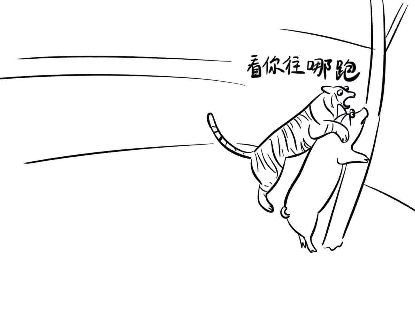 母猪真的会上树啊