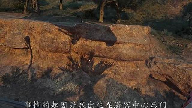 对方好像在蹲我，可是你们看看身后呢