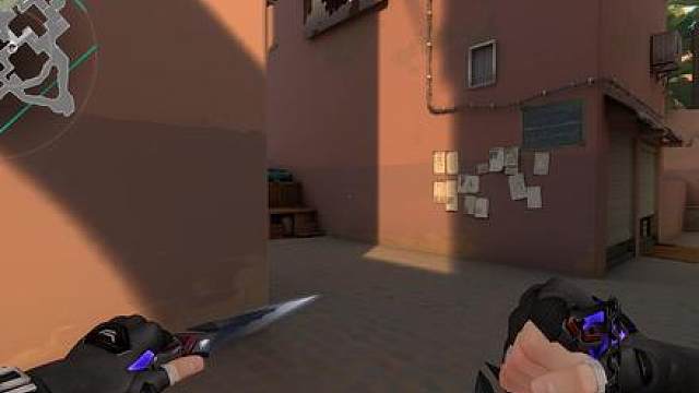 粉崽更新了 真的假的