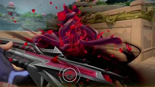 荆棘圣骸玫瑰套:优缺点都在哪？