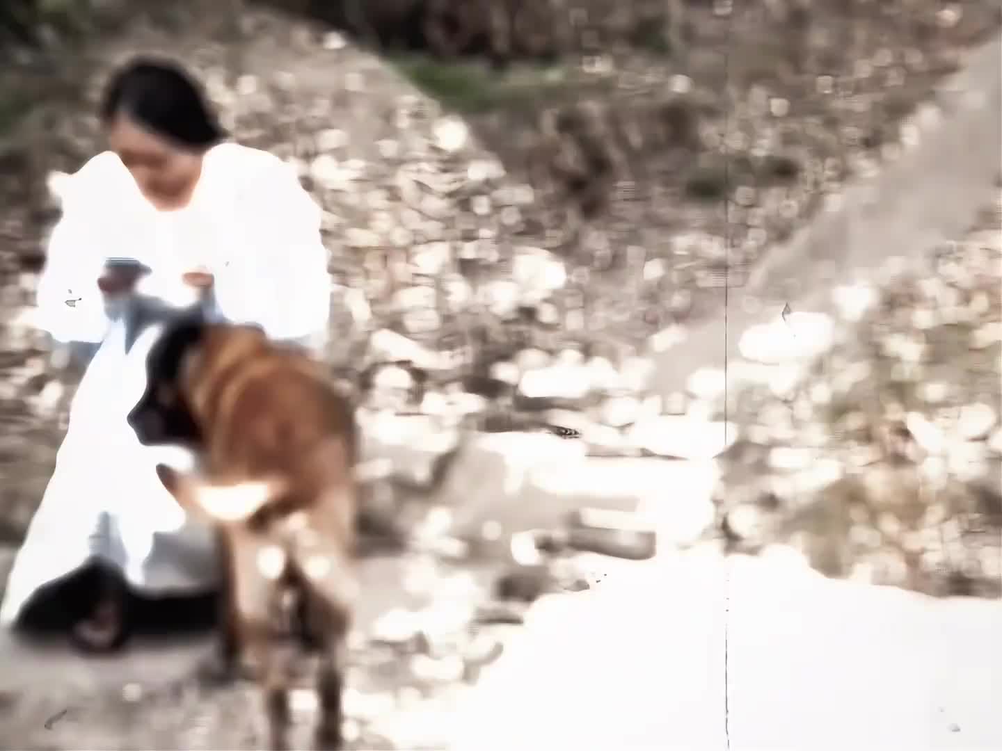 男子钓鱼时不慎跌入鱼塘被路过的黑狗救上岸