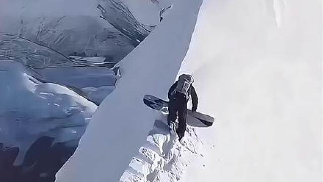 是风就要自由，要什么归宿