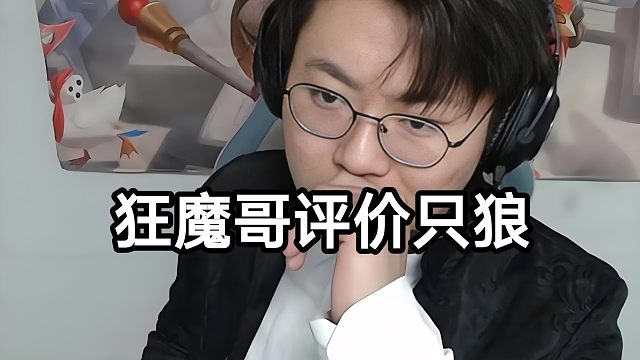 狂魔哥评价只狼