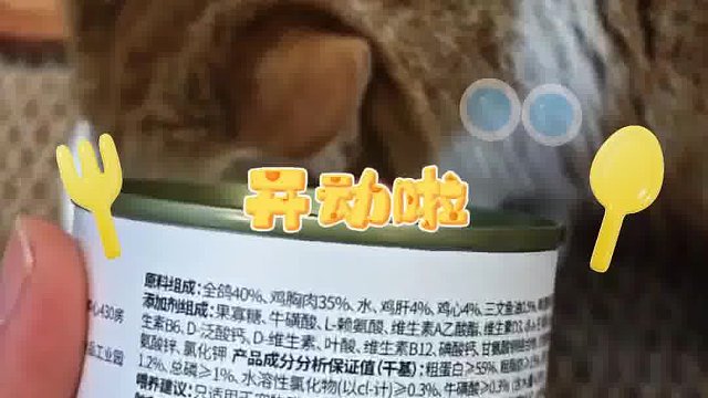 养猫人必冲！希喂猫罐头