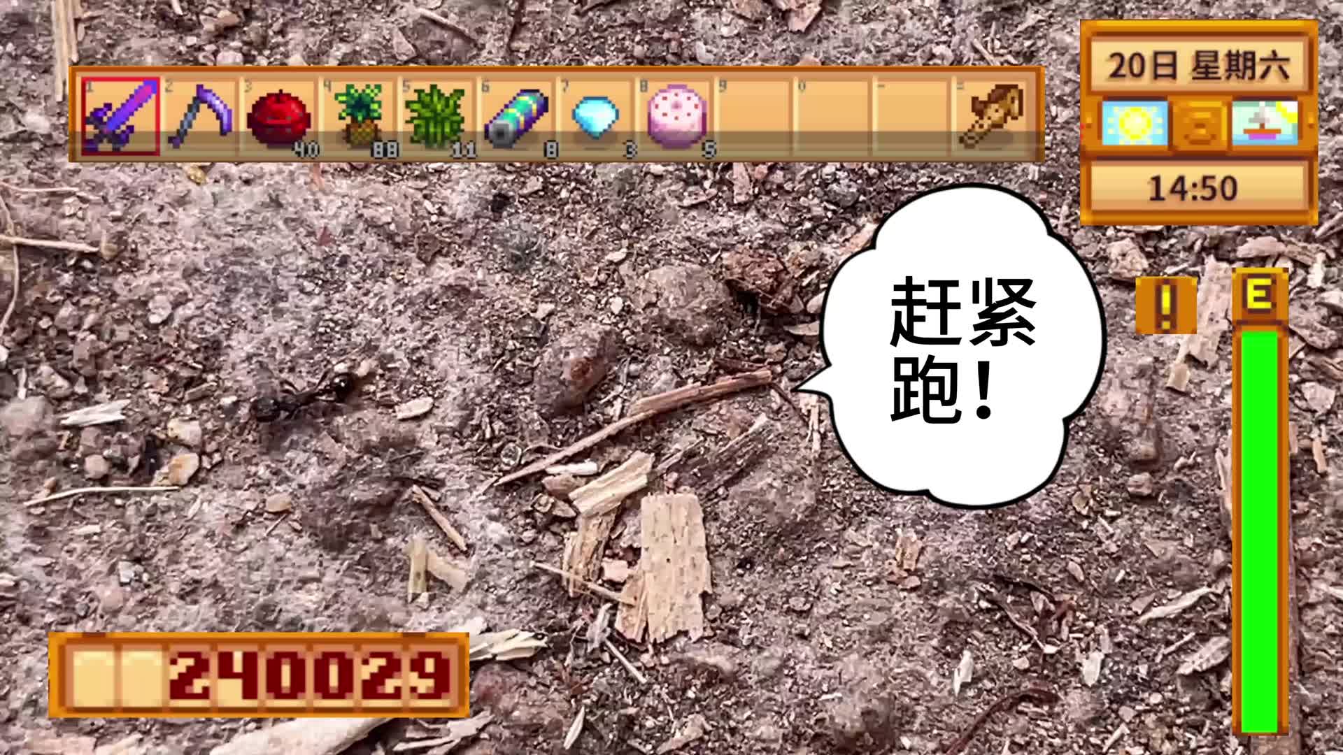 【星露谷物语】蚂蚁竟然怕辣！