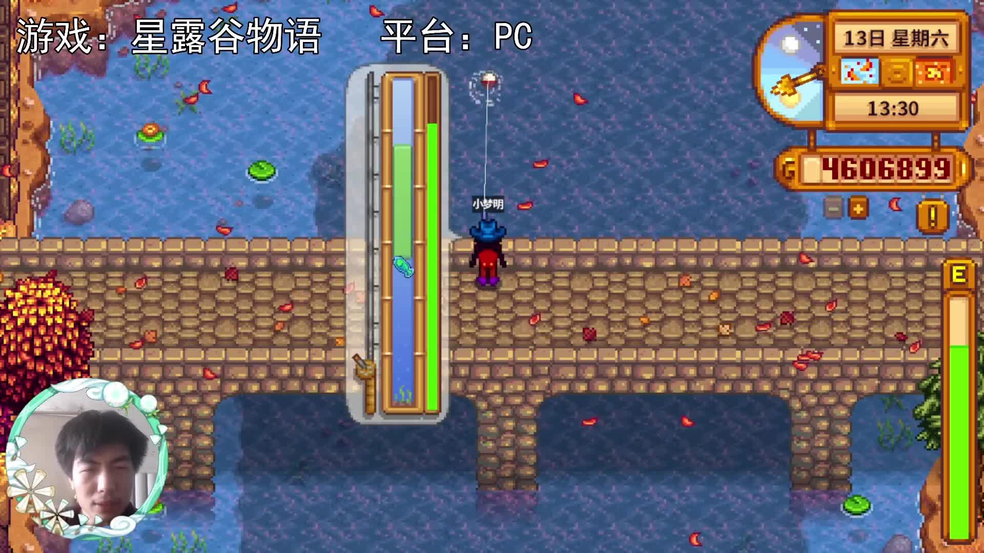 【星露谷物语】大桥，钓鱼的一天！