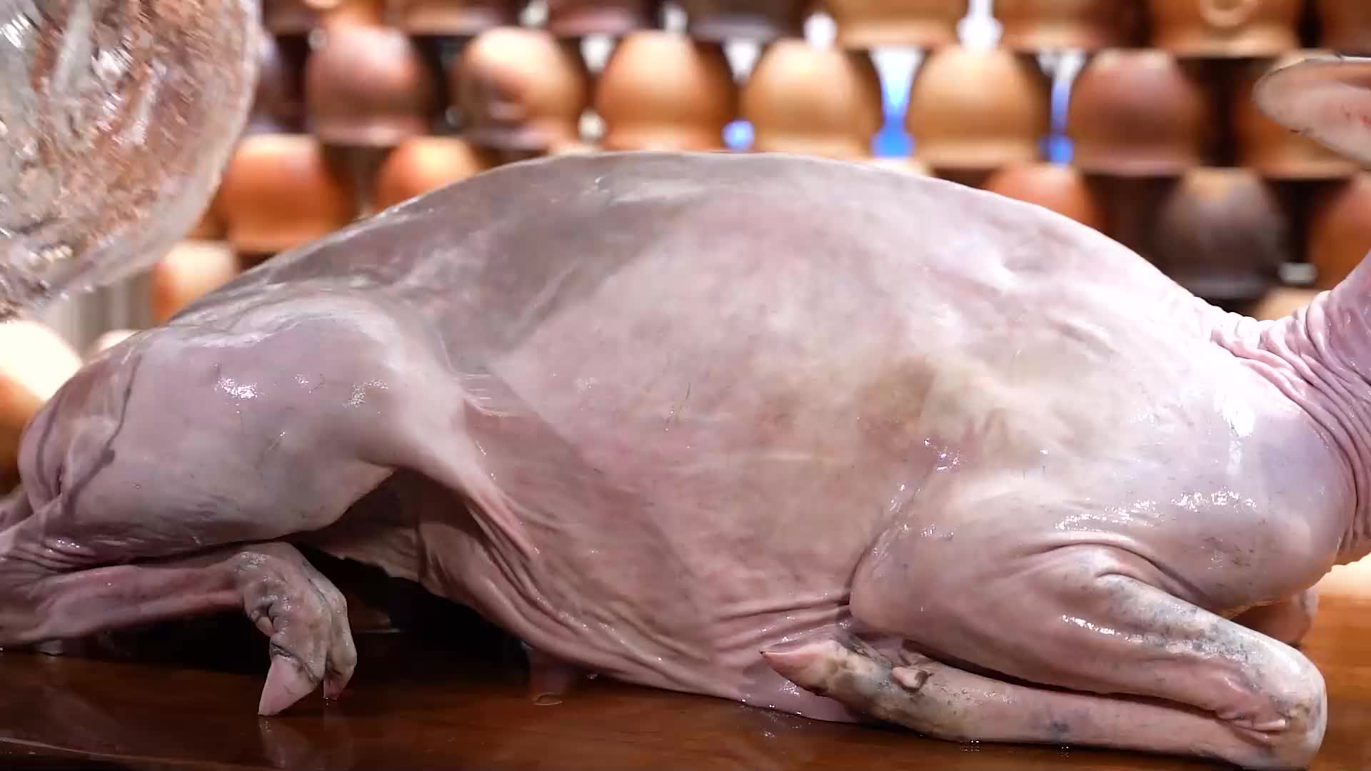 厦门大哥用沙子炖汤，2两红菇搭3斤鹿排，土锅土灶沙焖2小时