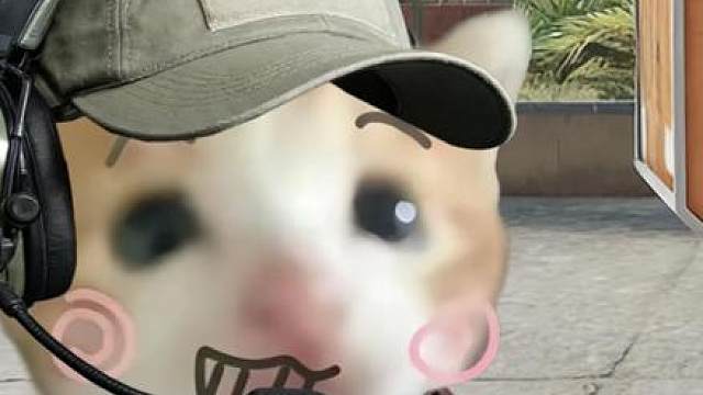 当鼠兄和死对头在大坝跑刀