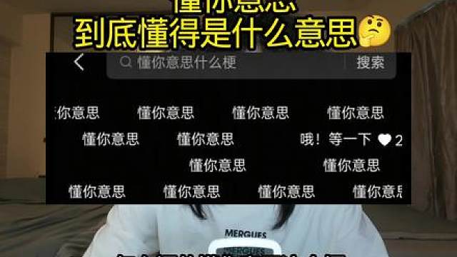 懂你意思这一块/. 懂你意思这一块/.