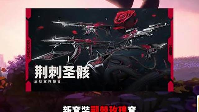 【荆刺圣骸】新晋T1还是路边货？狂徒手感能进前10？