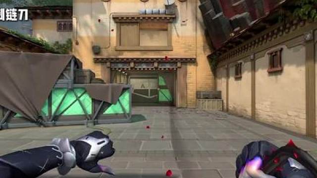 黑波对比玫瑰，谁更胜一筹