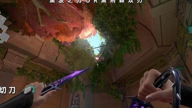 黑波之刃or荆棘双刃