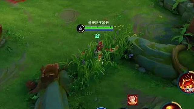 猴子直接惊呆了