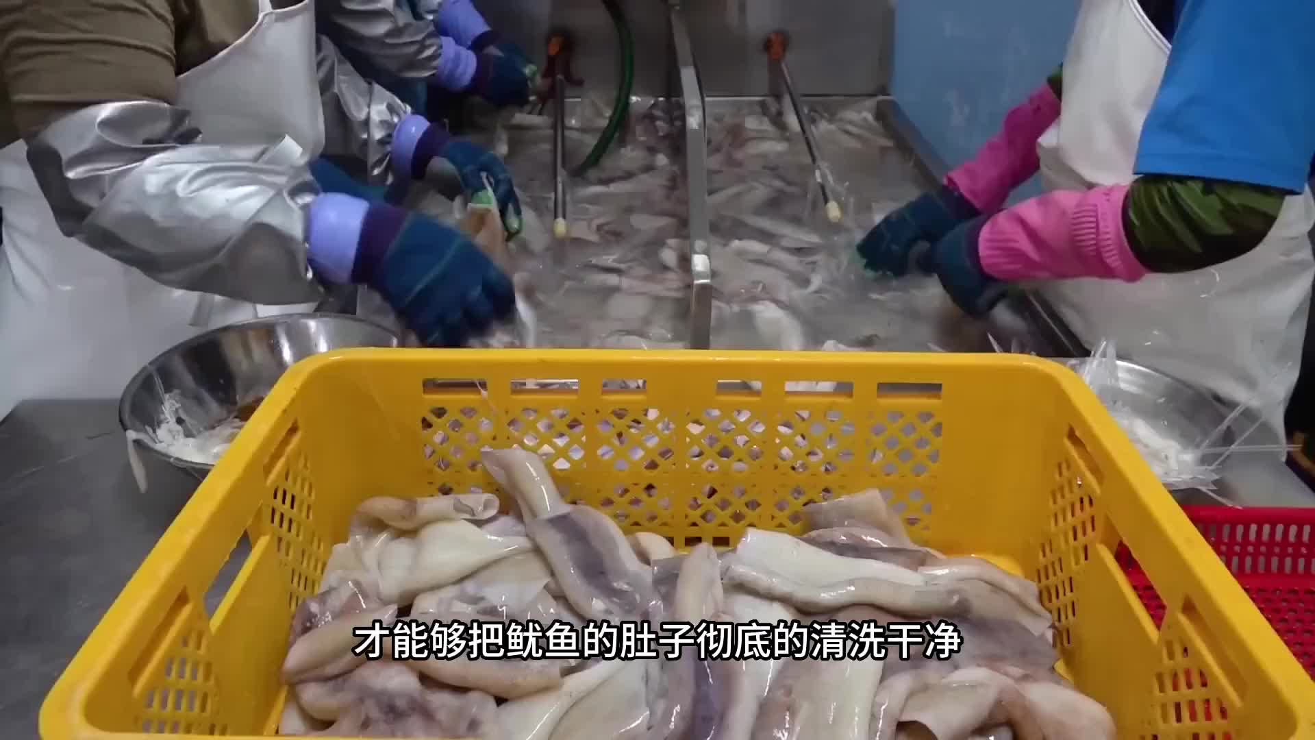 鱿鱼包饭是这样子制作的，完全都是真材实料。