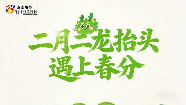 当二月二龙抬头遇上春分，十九载一相逢的春日之约