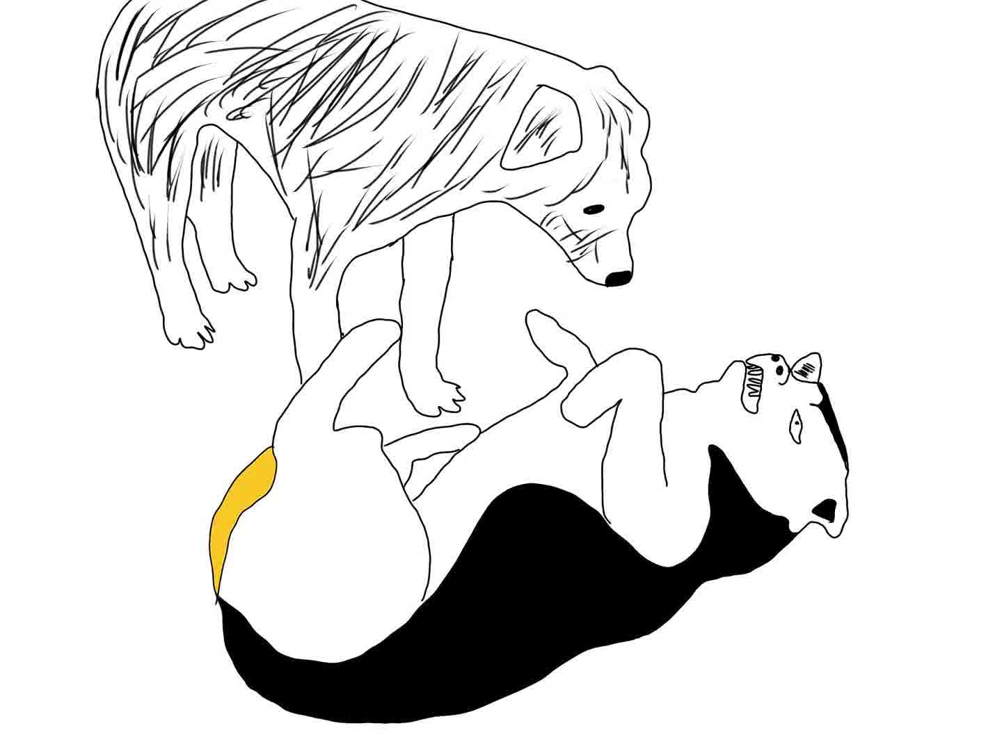 来自查理国王的威压