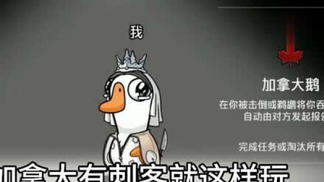 加拿大的正确玩法