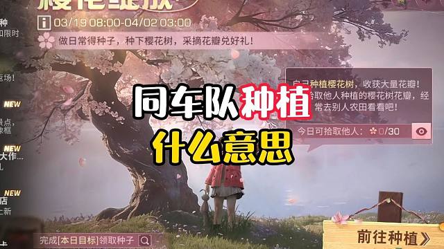 【新人科普】什么是同车队种植