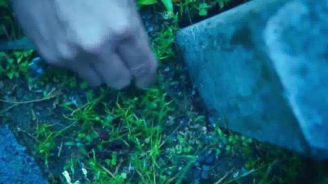 1老刑警扫墓时，竟锁定了多年悬案真凶