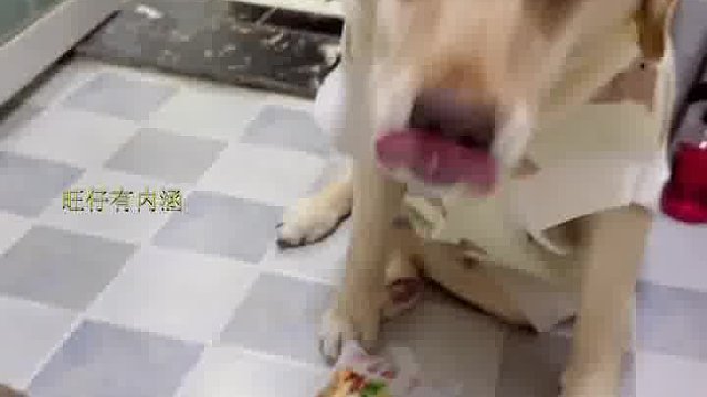 冤冤相报何时了