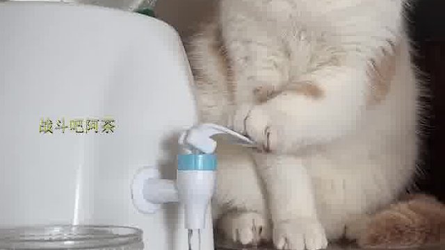 老艺术家的从容与淡定！