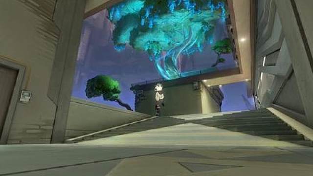 送你一朵玫瑰花