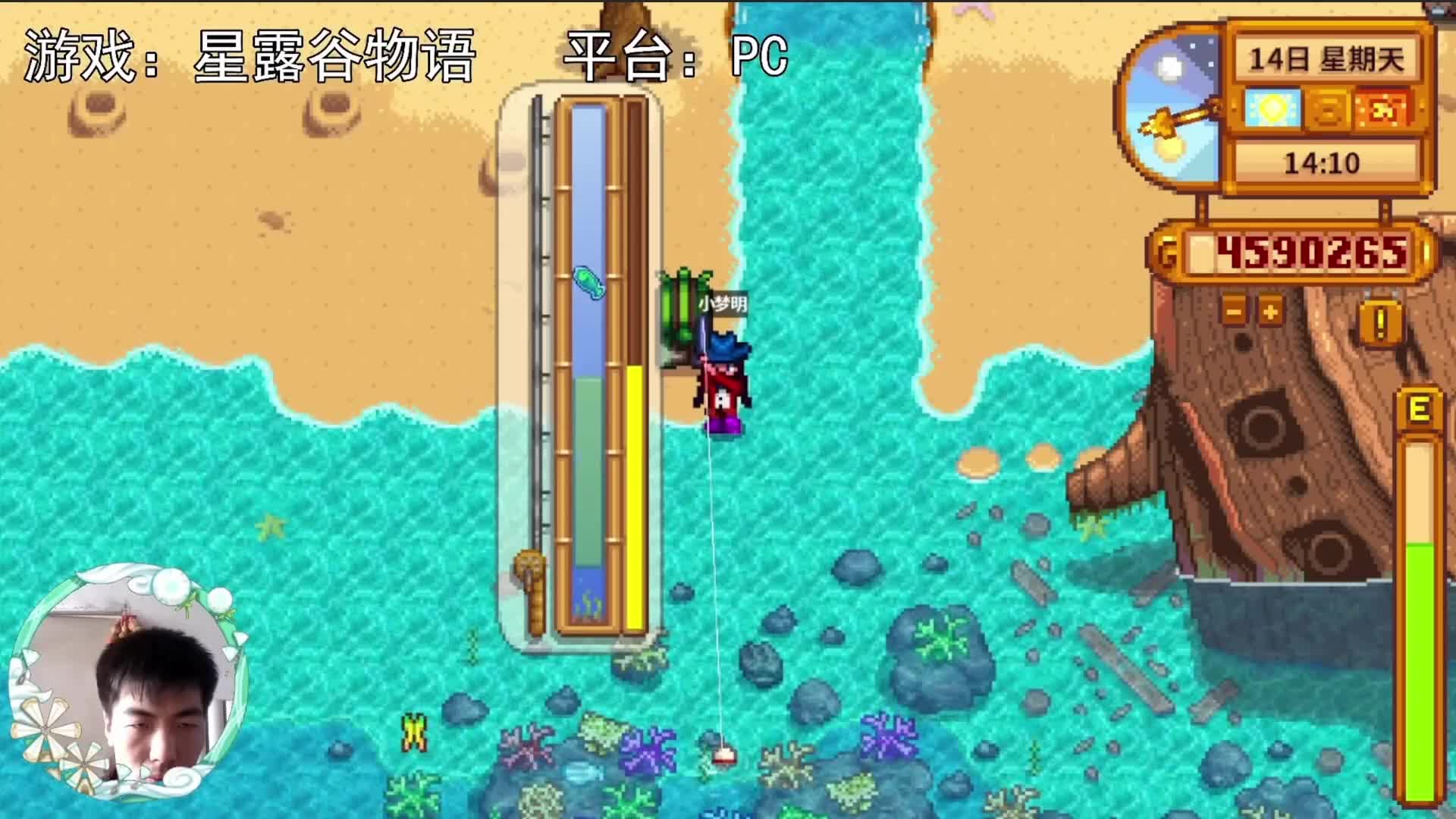 【星露谷物语】鱼：放过我吧！我：眼睛花了！