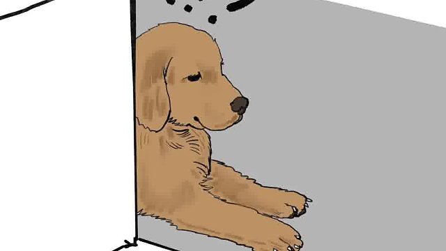 小一脸懵还没睡醒，意外就这样发生了