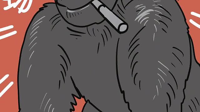 猩哥又来了，这次还给大家带了小礼物～