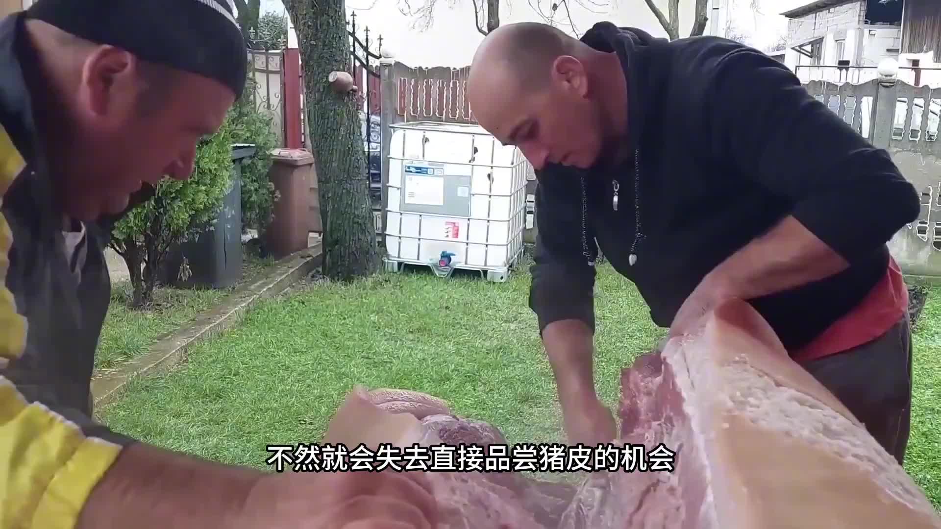 刚切割出来的生猪皮就是直接一口吃。