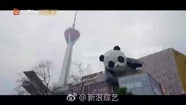 一诺来参加节目确实值得期待。暂别赛场后，那些职业病慢慢显现，和家人相处的方式也要重新适应。期待他的表