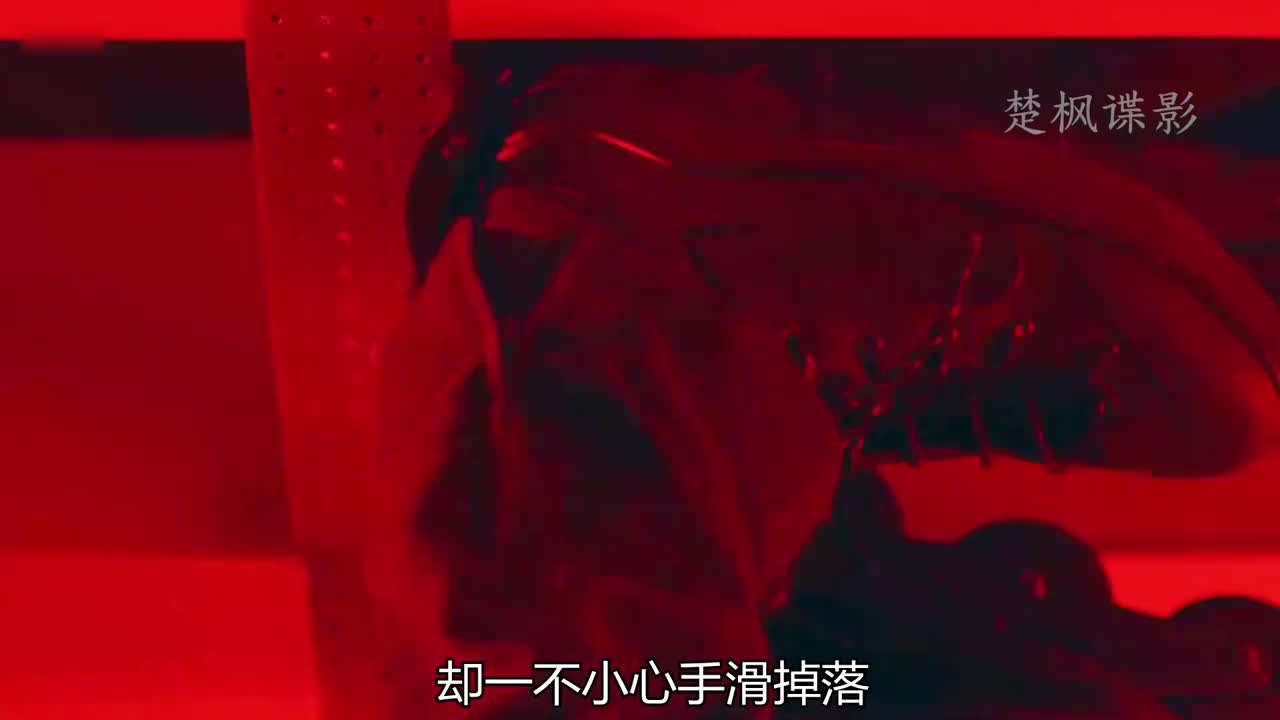 高燃神偷闯关 临门一脚竟遭致命圈套