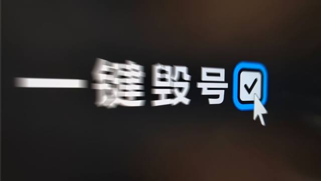 成为了电竞皇帝....