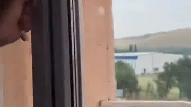 砸到汪蜂了？  ​