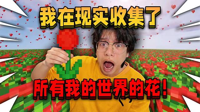 我在现实收集了所有我的世界的花！并把他们送给路人！