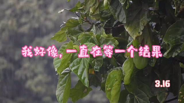 我好像，一直在等一个结果