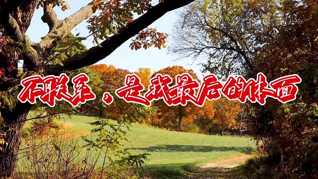 不联系，是我最后的体面