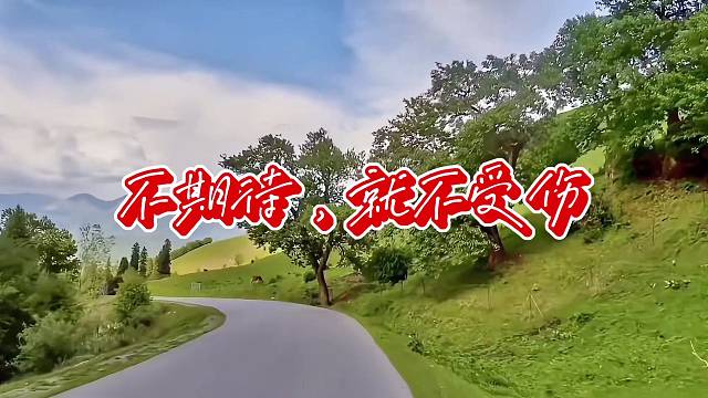 不期待，就不受伤