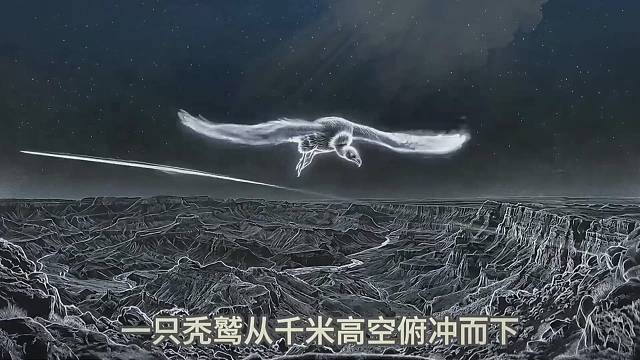 心理
