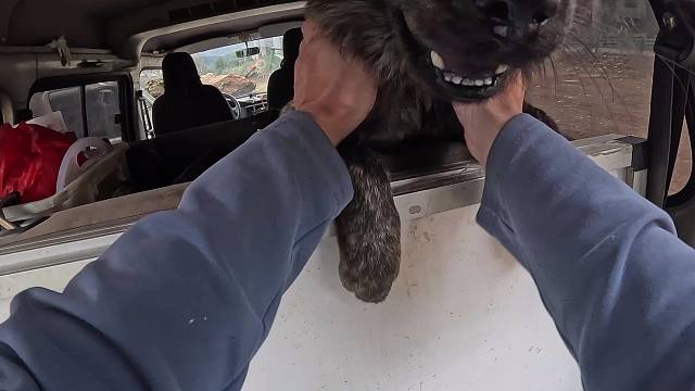 游钓囧途之我在广西桂林钓大鱼