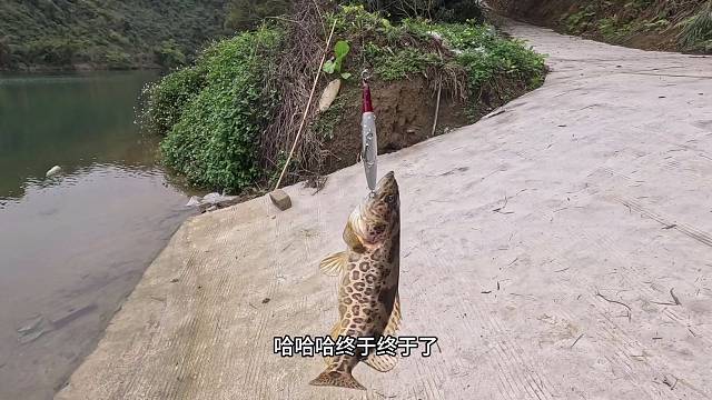 我在广西柳州尽然路亚到了这种猛货