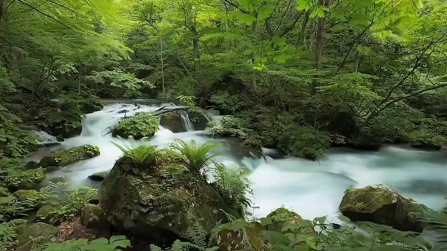 慢慢来，你值得最好的