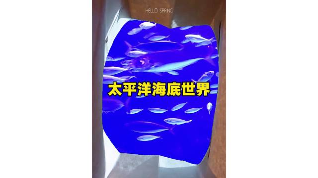 装一点色彩放进春天