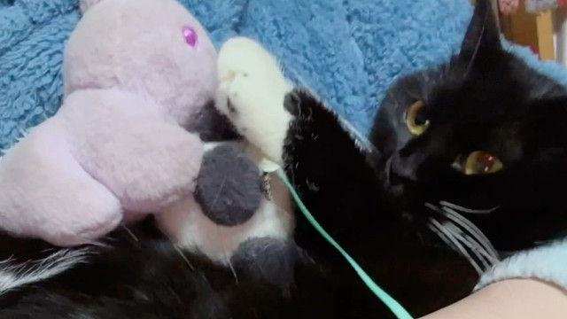 我的小豆包啊，怎么会这么暖